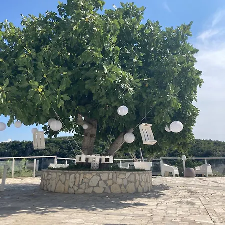 לינה וארוחת בוקר Masseria Sant'elia 3*